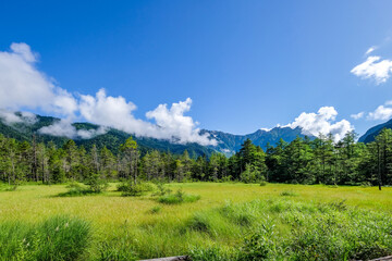 長野県松本市上高地の田代湿原と穂高連峰