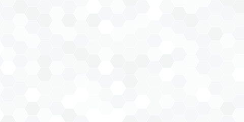 Poster - white abstract background with futuristic and hexagon concept use for business cover and card