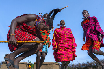 maasai mara man showing traditional maasai jumping dance