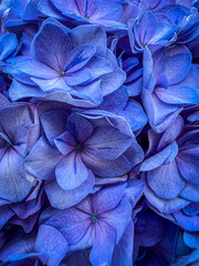 blue background