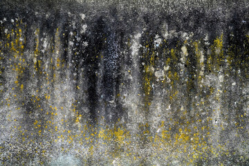 Wall Mural - Abstract background with texture of black splashed spots on a gray concrete wall.