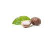 Shea nut halves isolated on white background