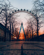 ferris wheel at sunset london eye