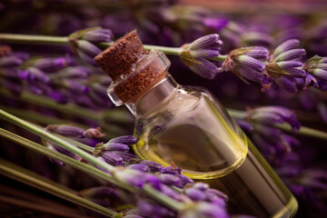 Wall Mural - Closeup of lavander oil and liquid bottle in flowers on background.