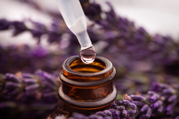 Wall Mural - Closeup of lavander oil and liquid bottle in flowers on background.