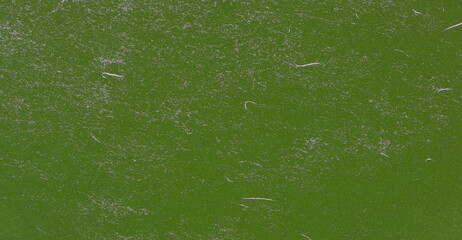 Wall Mural -  wall green texture grunge background wallpaper