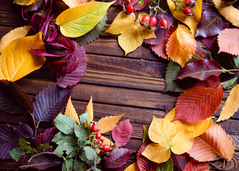 Sticker - Autumn frame for your idea and text. Autumn fallen dry leaves of yellow, red, green color, laid in the center of the frame on an old brown wooden board.	