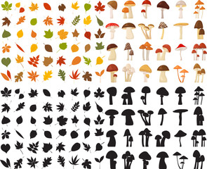 Wall Mural - leaves and mushrooms collection in flat style, isolated, vector
