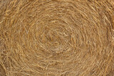 Fototapeta Desenie - Circular haystuck background