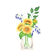 Watercolor Illustration. Glass Vase With Sunflowers And Bluebells.