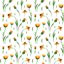 Seamless Calendula Flower Pattern. Watercolor Background With Yellow And Orange Wildflowers. Ornament With Plants For Textile, Wallpapers