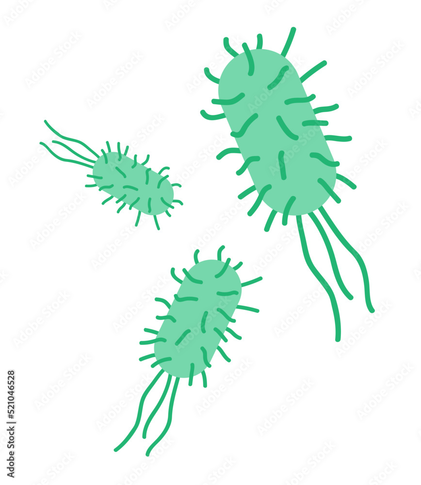 Escherichia coli (e. coli) bacteria flat icon