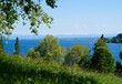 a beautiful green meadow on Flower Island Mainau with lake Constance or Bodensee and the Alps in the background (Germany)	