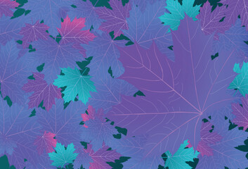 Wall Mural - autumn colorful maple leaves background vector template.