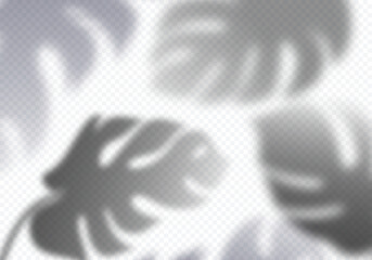 Aufkleber - Vector Transparent Shadow of Palm Leaves. Decorative Design Element for Presentations and Mockups. Creative Overlay Effect