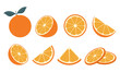 Big vector collection of fresh oranges. Orange fruit isolated on white background. Vector illustration for design and print
