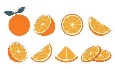 big vector collection of fresh oranges. orange fruit isolated on white background. vector illustrati