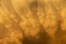 Huge Mammatus Cloud Illuminated By The Golden Light Of Sunset. A Mammatus Cloud Is A Meteorological Term Applied To A Cell Pattern That Amasses Cloud Masses At Its Base, Developing Cumulus