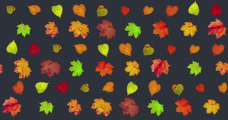 Wall Mural - Animated pattern background of rotating dry autumn leaves with shadow, happy thanksgiving background concept