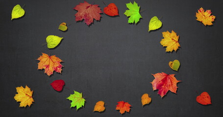 Wall Mural - Animated frame made of rotating dry autumn leaves, copy space, happy thanksgiving day background concept, discount and sale for this holiday