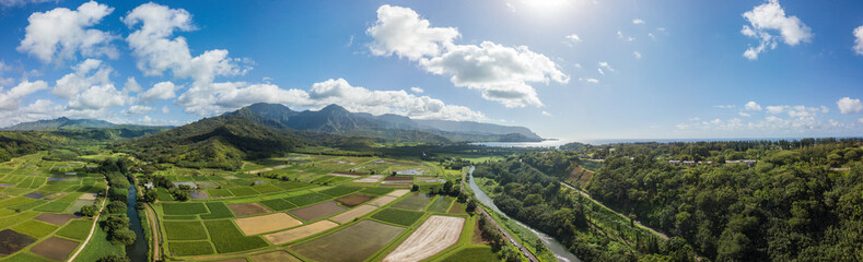 Wall Mural - Taro Farms Hanalei, Hawaii