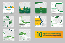 Agriculture Farming Service Social Media Post Banner Set Or Agriculture Farming Flyer And Web Banner Template. Lawn Mower Gardening, Landscaping, Agro Farm Business, Eco-friendly Green Background