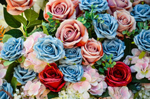 Group Of Colorful Roses Blue Pink Red Concept Valentine Wedding Mother's Day Important Day Background Design Wallpaper Fabric Design
