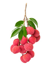Wall Mural - bunch of lychee isolate on white background. clipping path.
