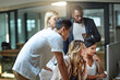 © Daniel Laflor/peopleimages.com - Diverse team of business people looking at a computer screen together for a group project in a modern office. Young, thinking and professional men and women at a desk working on analyzing information