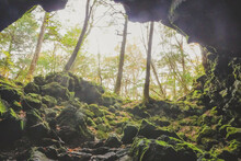 青木ヶ原樹海の溶岩洞窟