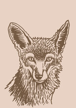 Vector Portrait Of Sly Fox On  Sepia Background,graphical Vintage Drawing