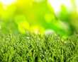 Leinwandbild Motiv Beautiful green grass with morning dew on sunny day. Bokeh effect