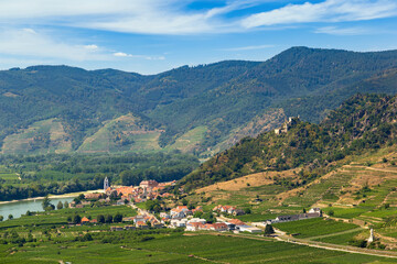 Wall Mural - Danube river and vineyards in Wachau valley. Lower Austria.