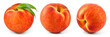 Leinwandbild Motiv Peach isolated. Peach set with leaves on white background. Peaches collection with clipping path. Full depth of field.