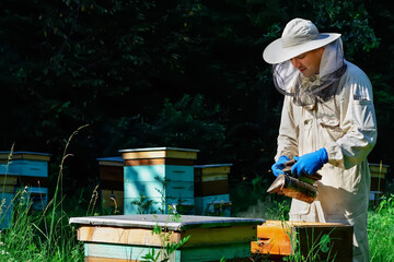 Wall Mural - Beekeeper working collect honey. Beekeeping concept. Farmer wearing bee suit working with honeycomb in apiary. Organic farming. Copy-space.