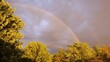 Beautiful rainbow in the sky after rain with trees in the foreground