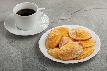 Poster - Traditional madeleines with sprinkled sugar.