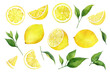 © LuckPicture - Watercolor lemon set. Half, slice, green leaf, branch of summer tropical fruit. Antiviral health food. Perfect for home decor, card making, cocktail menu.