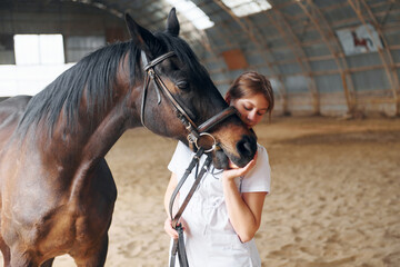 Wall Mural - Checking the teeth and nose. Female doctor in white coat is with horse on a stable