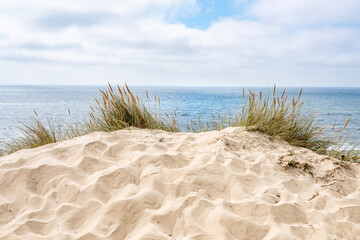 Wall Mural - sand dunes near the beach