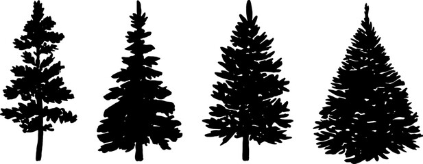 Vector tree pine silhouette. Nature forest logo. Vector templates, spruce silhouette branch sketch.