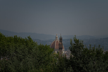 Wall Mural - A view of Florence in Italy