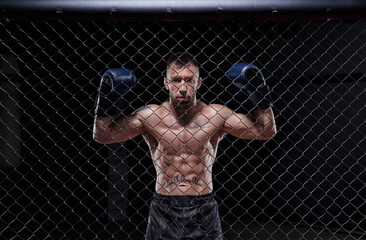 Wall Mural - Dramatic image of a mixed martial arts fighter standing in an octagon cage. The concept of sports, boxing, martial arts.