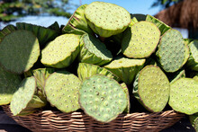 Basket Of Green Lotus Pods