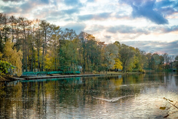 Wall Mural - autumn landscape with yellow trees over the river in sunny weather, reflection of a tree in the rive