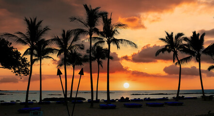 Kona Coast and Palm Trees with Dramatic Sunset on the Big Island in Hawaii