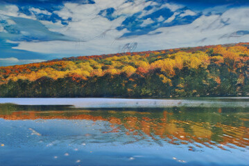 Wall Mural - Sunny fall day at the Catoctin State Park, with the trees in full autumn foliage.  With a reflection of the golden leaves in the water.  Edited to create a painted image. 