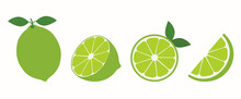 Fresh Lime Fruit. Collection Of Lime Vector Icons Isolated On White Background. Vector Illustration For Design And Print