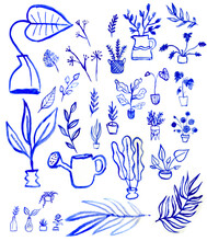 Handdrawn Inky Houseplants Made With Guache On Paper