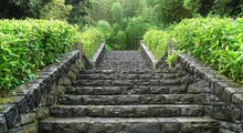 Stone Stairs In The Garden